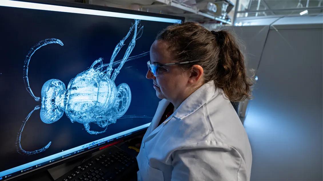 researcher working in a lab