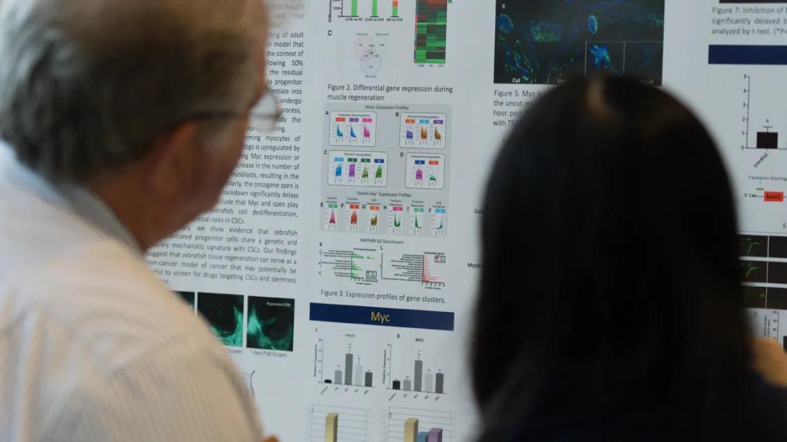 people looking at a conference poster