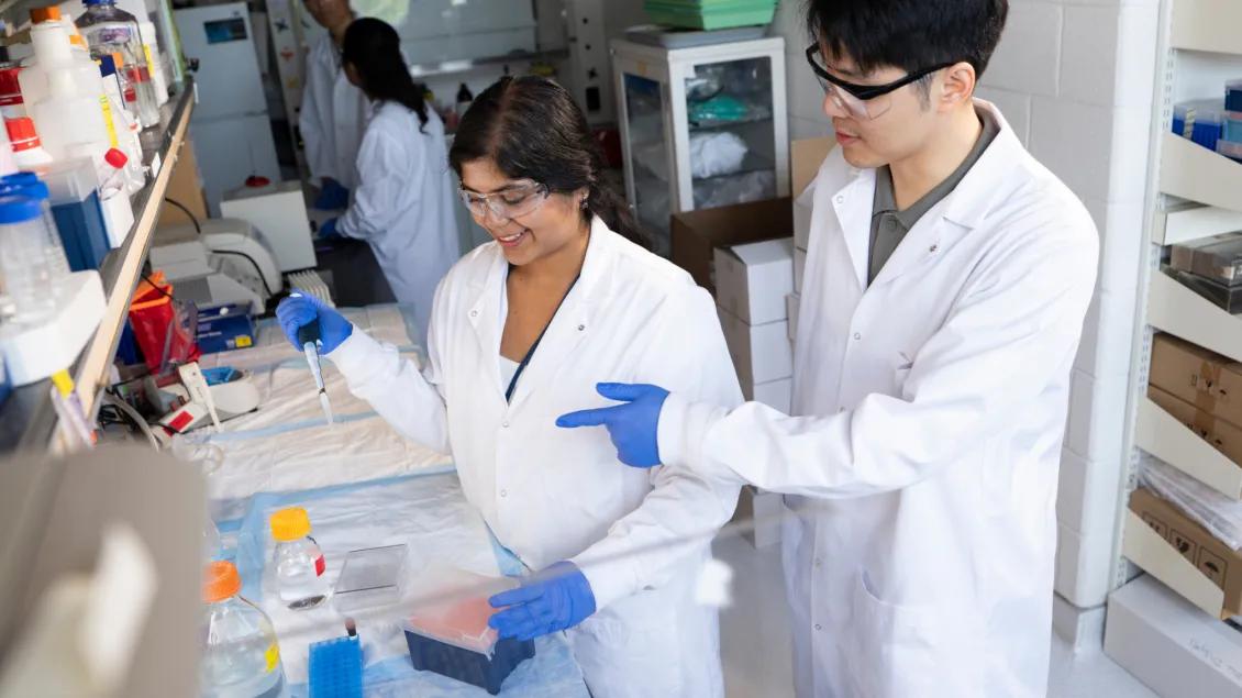 QZ_Lab_Publications