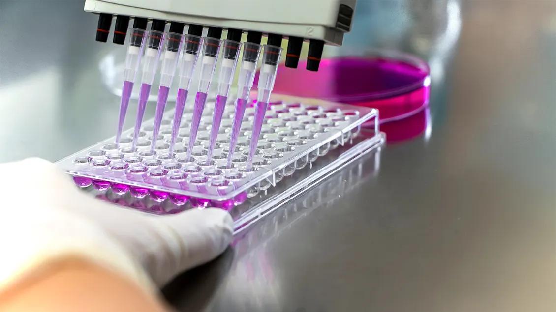close-up of researcher using a pipette