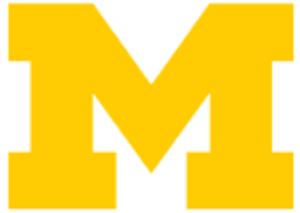 University of Michigan Block M