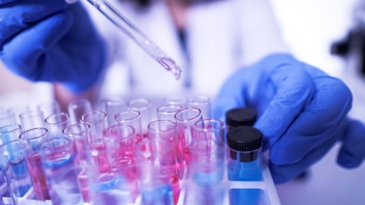 Researcher drops liquids into many test tubes 