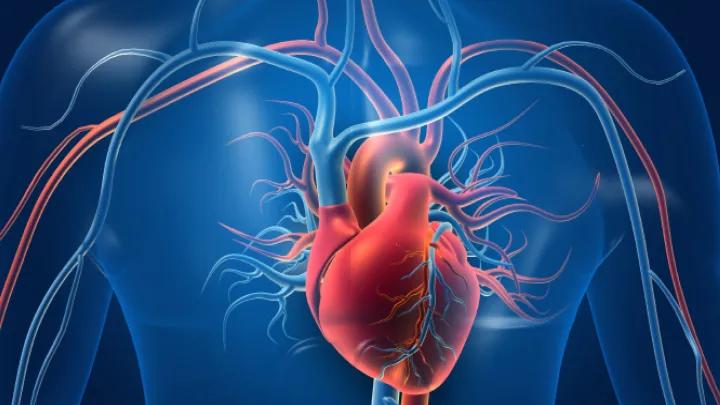 Heart and Vascular Symposium