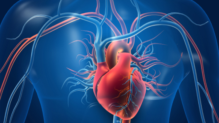 Heart and Vascular Symposium