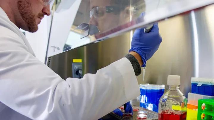 man using pipette in the murphy lab 