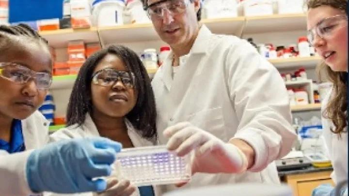 Group of laboratory scientist in lab coat and safety goggles working in lab.