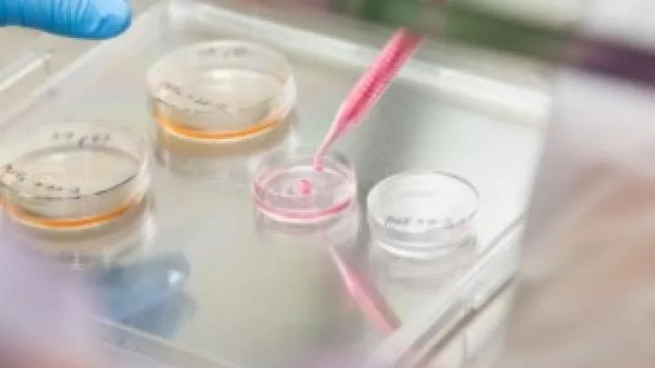 Medical lab testing equipments