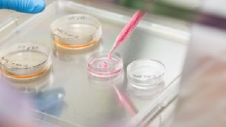 Medical lab testing equipments