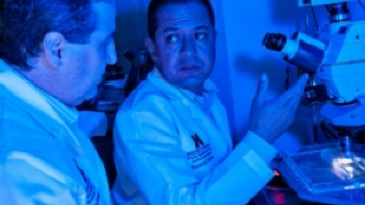 Medical laboratory scientists discussing and looking at microscope.