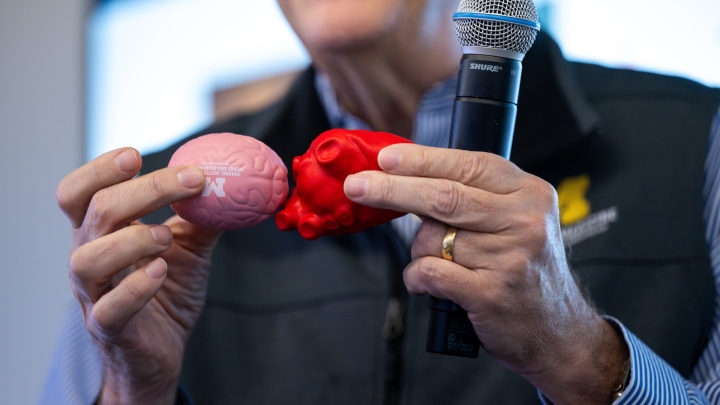 Heart and Brain demo