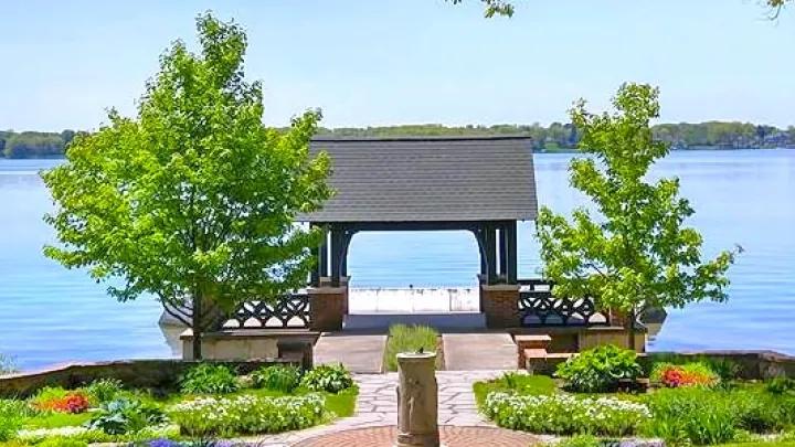 view of trees and lake