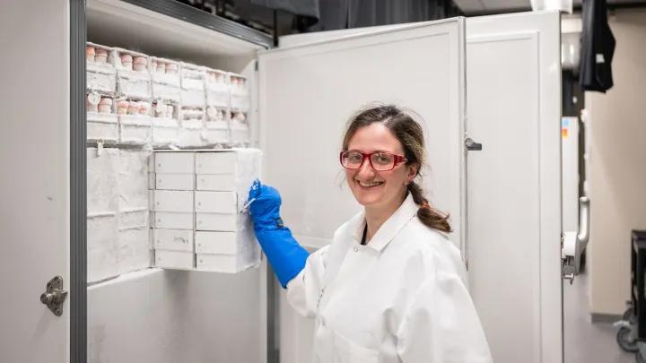Photo of a woman standing in front of a long term storage freezer pulling out a rack of biospecimen