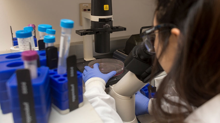 Asian female researcher uses microscope