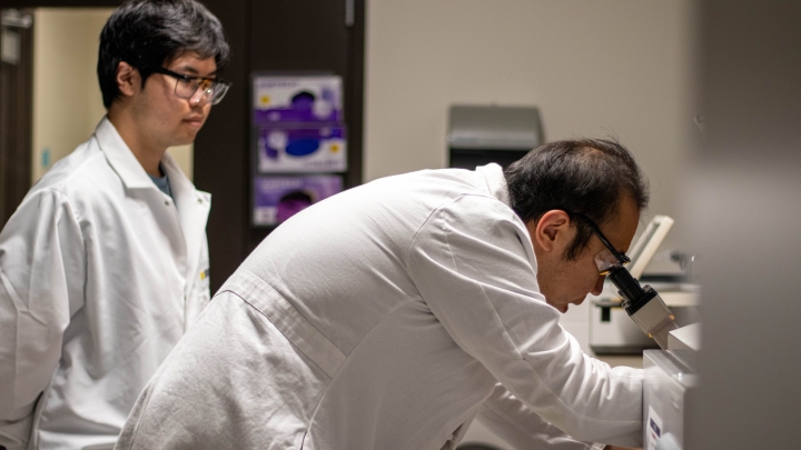 Rosenzweig Lab