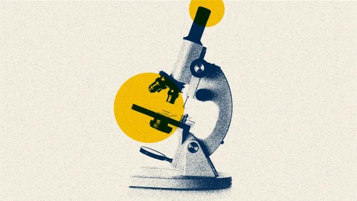 microscope drawing yellow navy