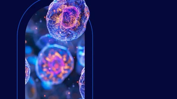 A decorative image of cells