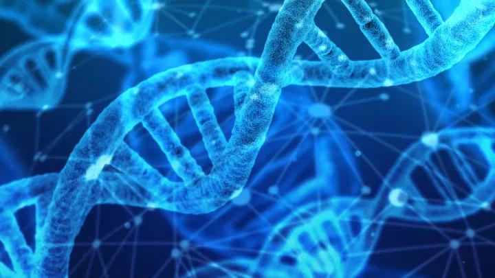 Graphic depiction of dna