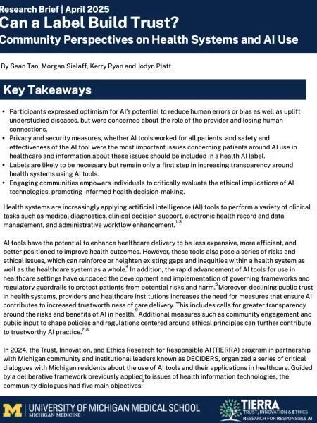 research brief 1 4.24.25