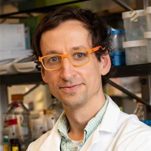 Carl Koschmann, MD