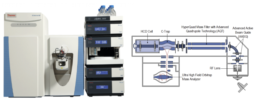 Q Exactive HF used by the Proteomics Resource Facility
