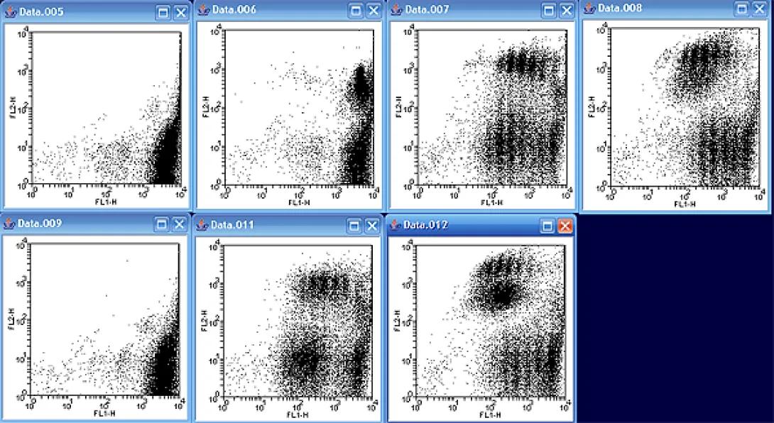 Flow Cytometry CFSE illustration