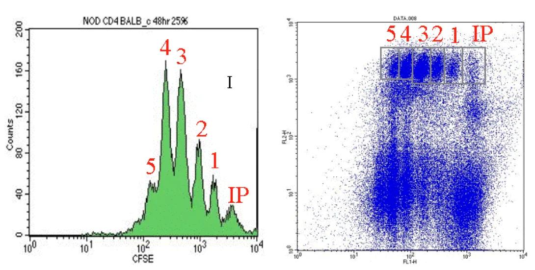 Flow Cytometry typical CFSE illustration