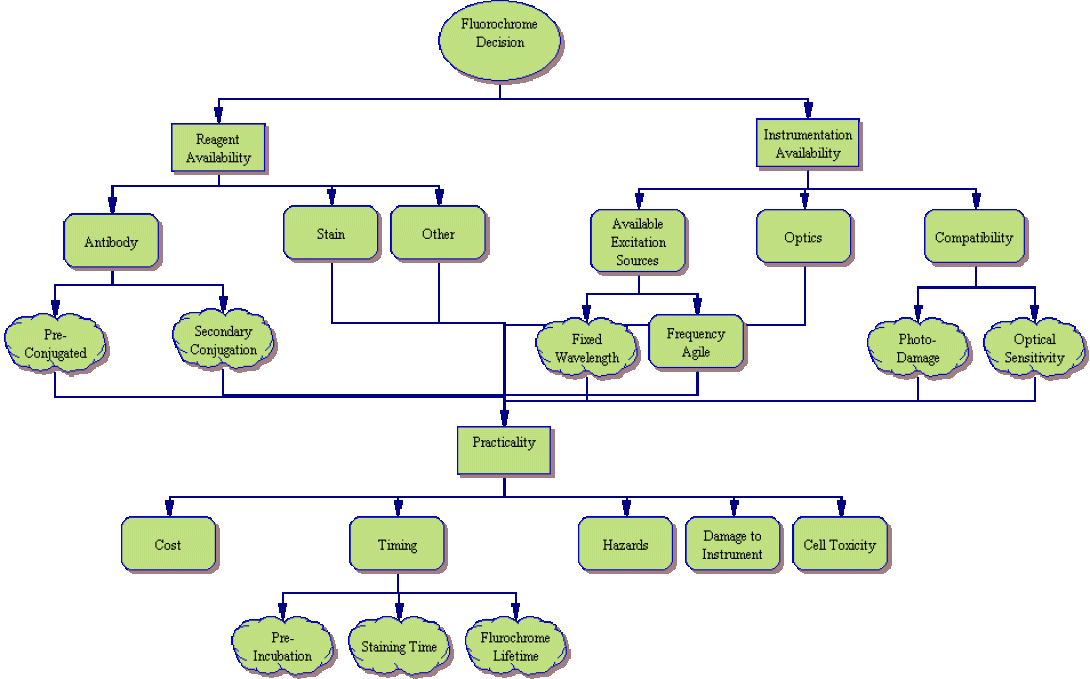 Flow Cytometry decision tree