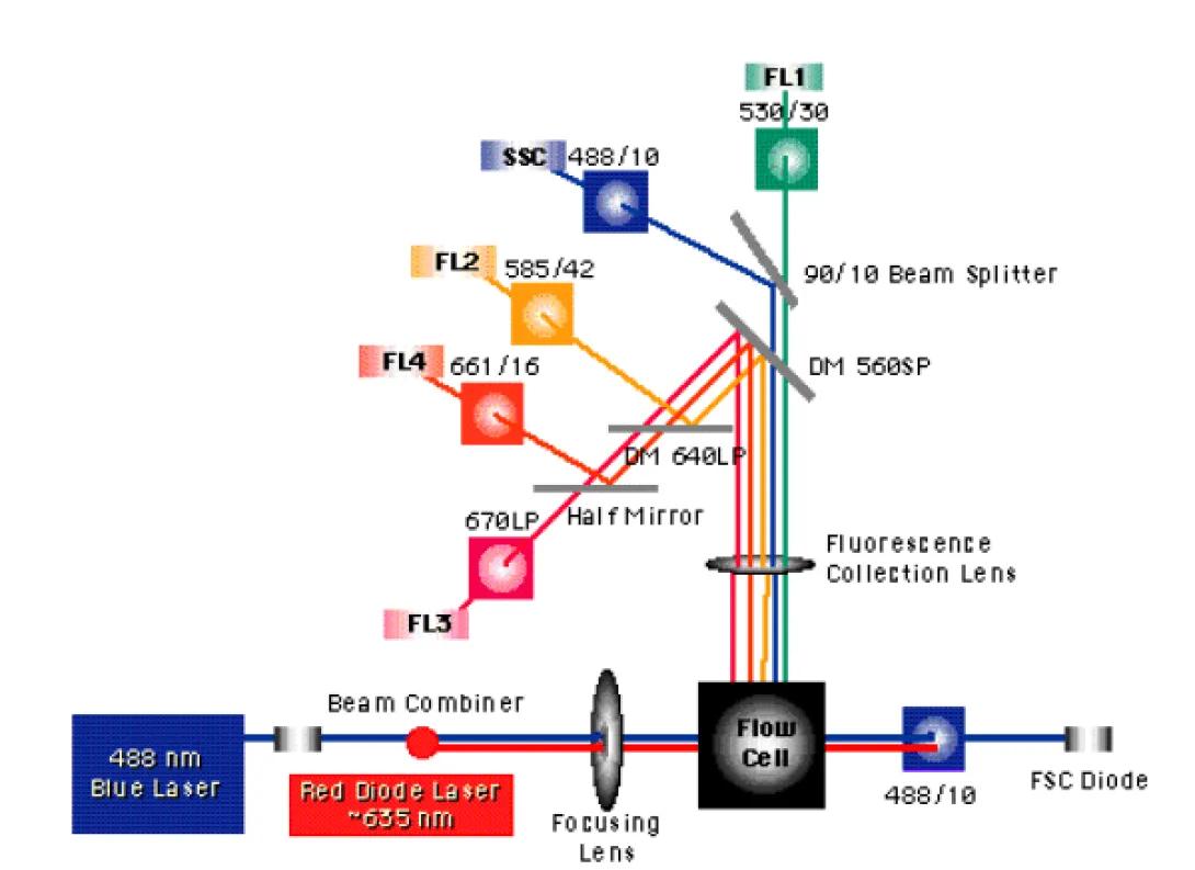 Flow Cytometry directing light illustration