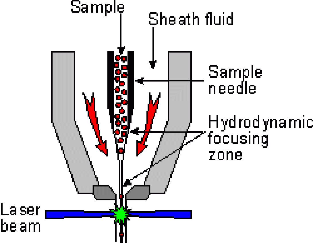 Flow Cytometry typical flow cells illustration