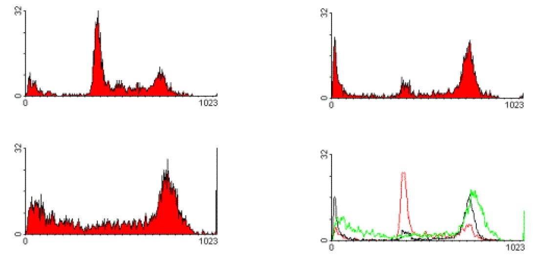 Flow Cytometry iodide staining illustration