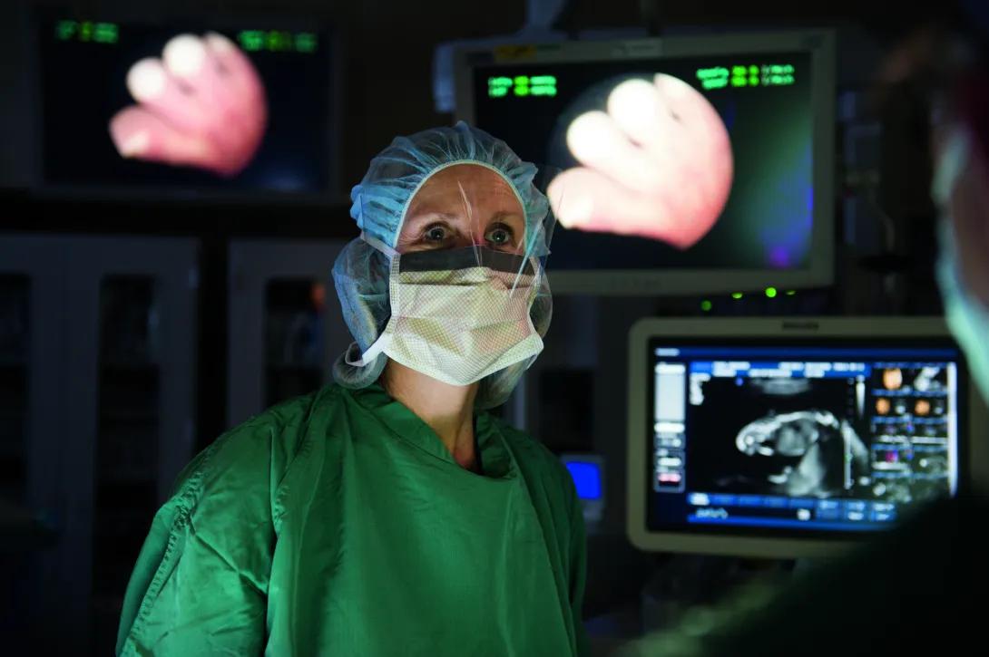obgyn doctor in surgery