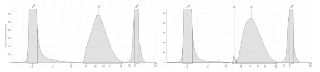 scientific chart of DNA size on Agilent TapeStation