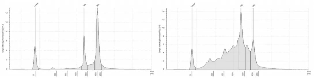 scientific chart of RNA size on Agilent TapeStation