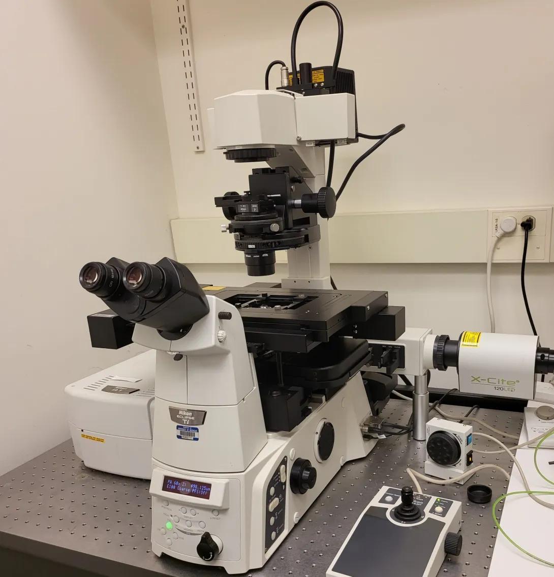Photo of Nikon A1 High Sensitivity Confocal