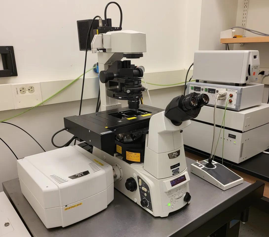 Photo of Nikon A1 Standard Sensitivity Confocal