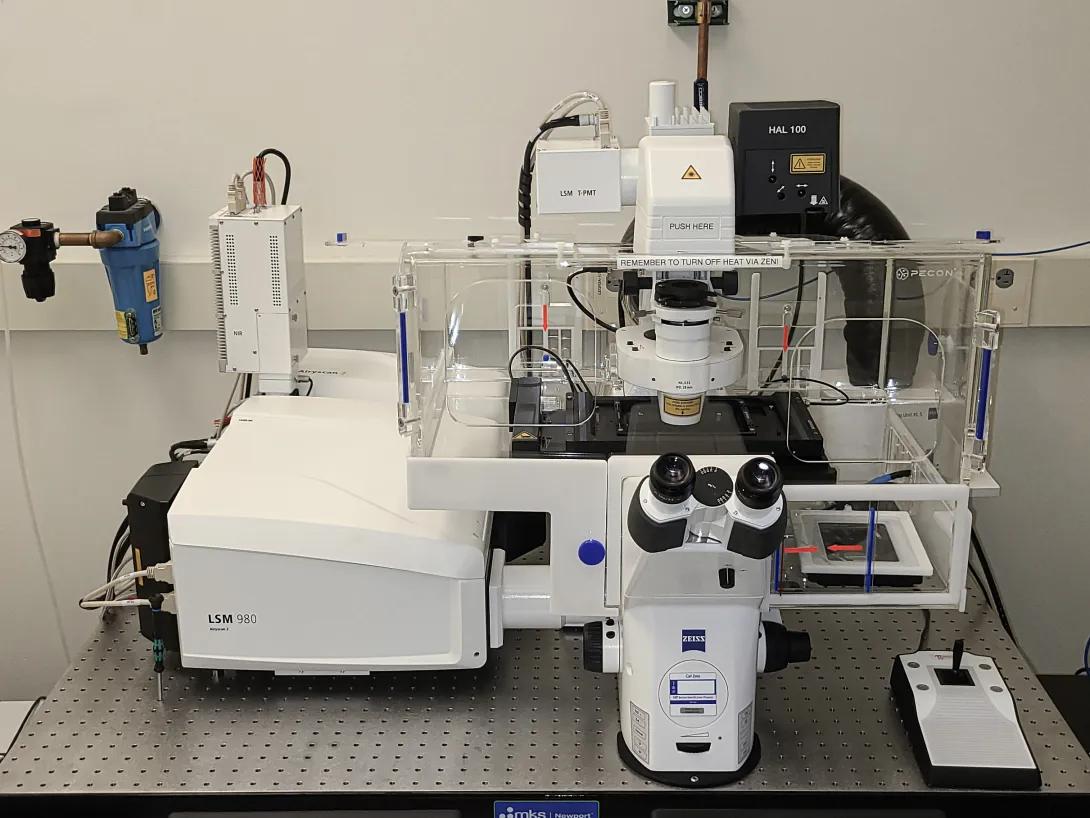 Photo of Zeiss LSM 980 Airyscan 2