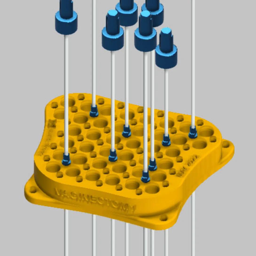 Vaginectomy needle guide model