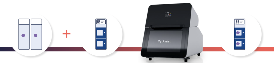 Photo of CytAssist workflow - two normal slides + visium slides loaded into CytAssist producing alignment of tissue sections on slides with capture areas