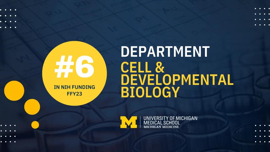 graphic: Department of cell & developmental biology ranks 6th in National Institutes of Health (NIH) research funding.