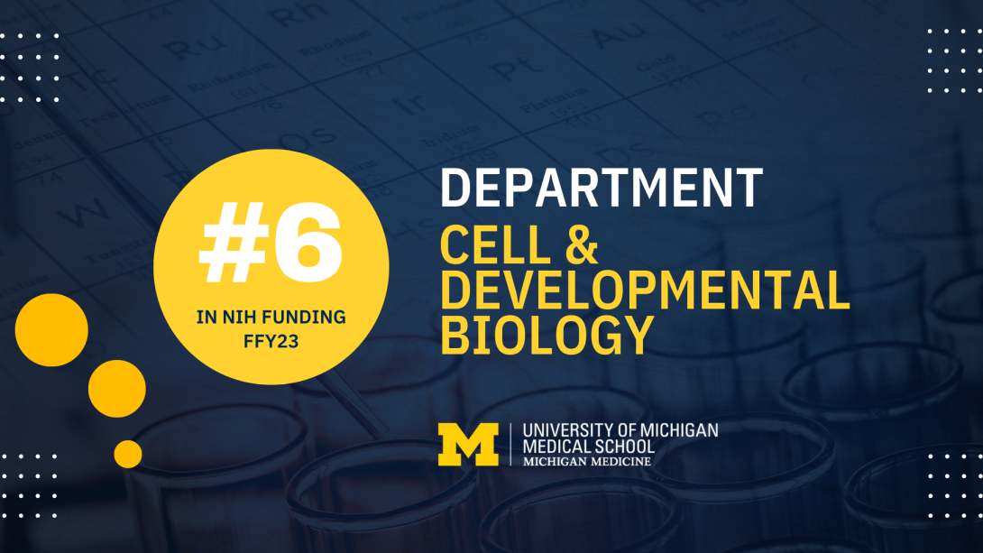graphic: Department of cell & developmental biology ranks 6th in National Institutes of Health (NIH) research funding.