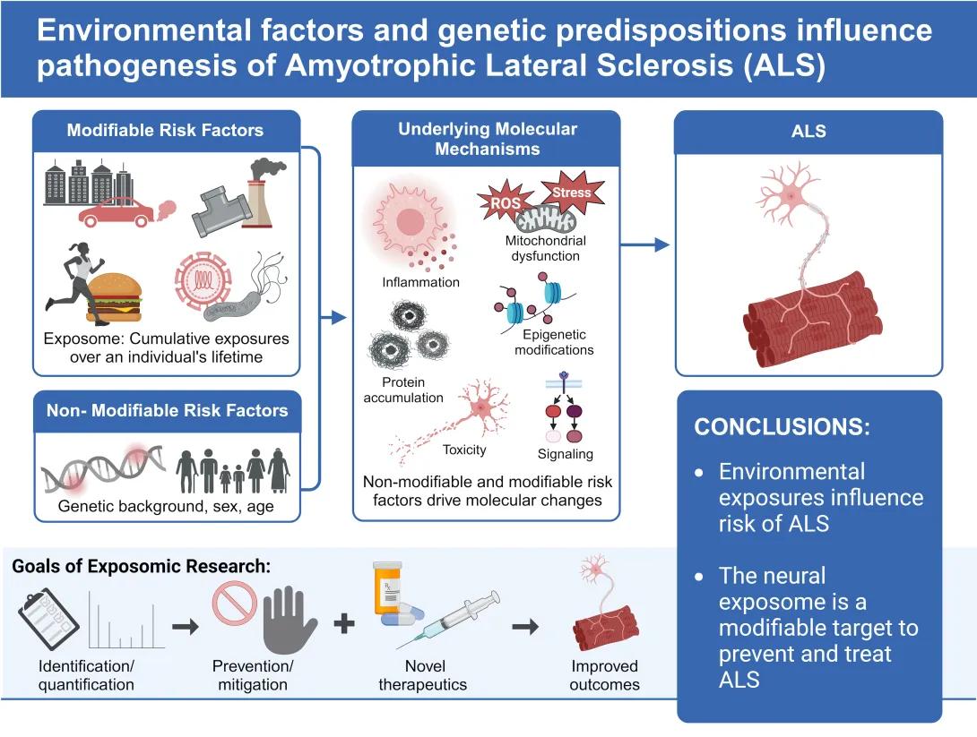 Graphical Abstract for ALS webpage