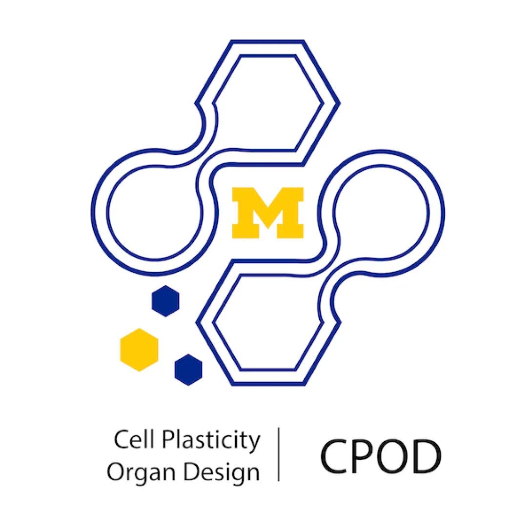 CPOD Logo