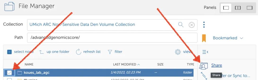 screenshot of steps within Data Den