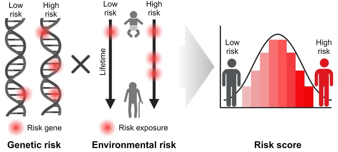 Risk Scores Graphics