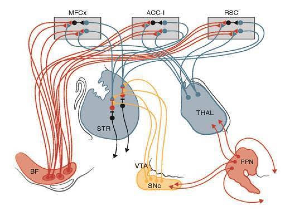 Diagram of attentional motor interface