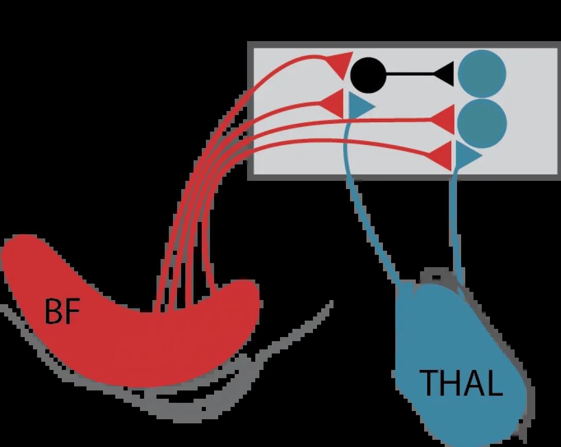 Udall Project Catalyst Research Project Figure