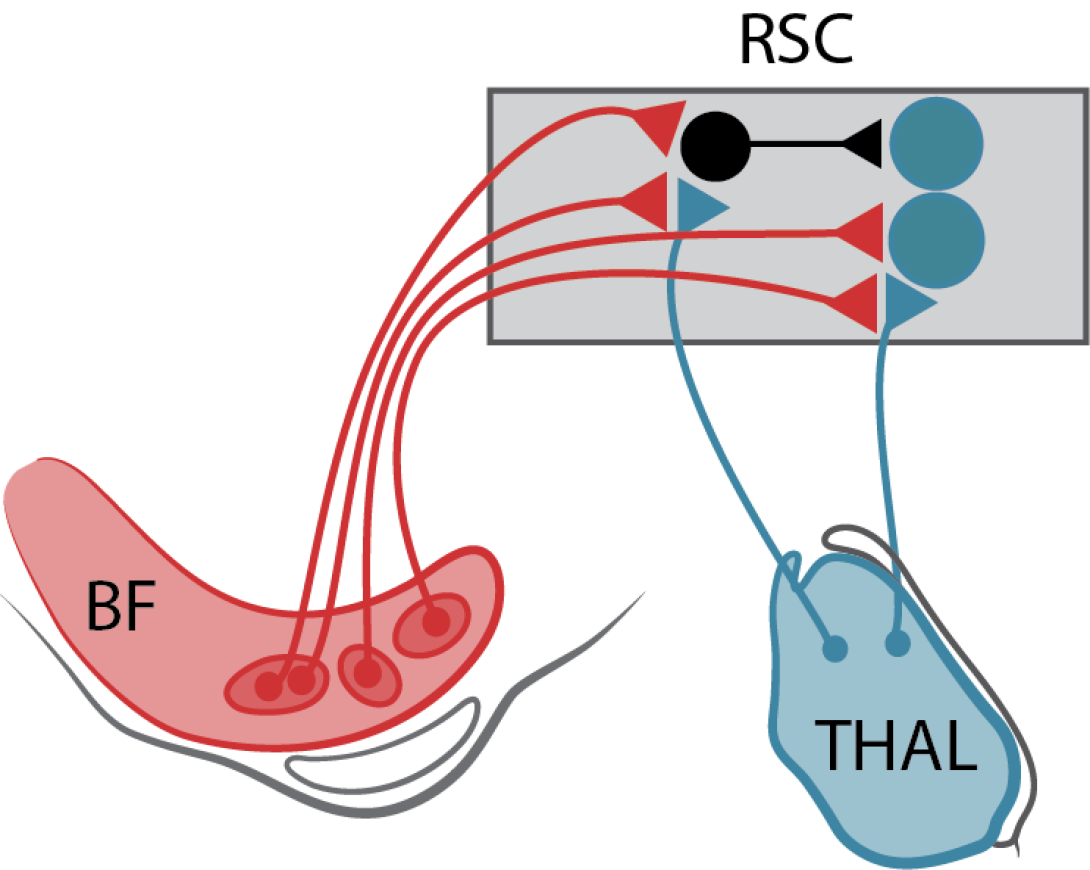 Udall Project Catalyst Research Project Figure