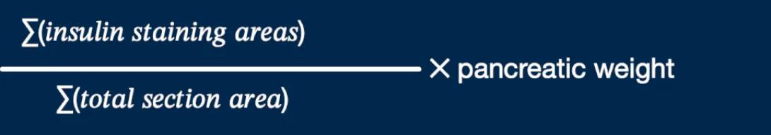 Beta Cell mass calculation