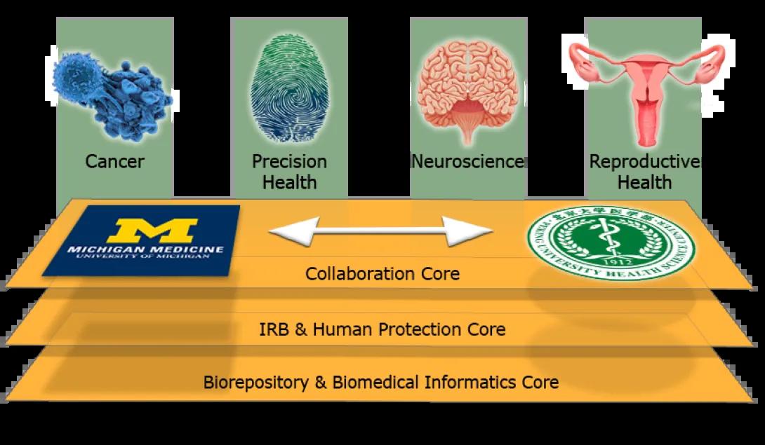 Program and cores graphic