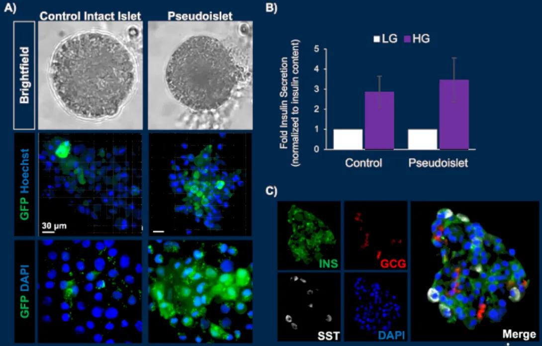 pseudoislets